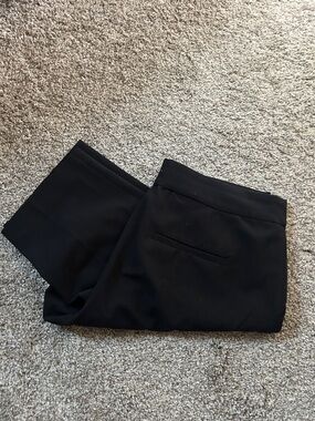 LOFT Women’s Dress Pants - Tailored Look